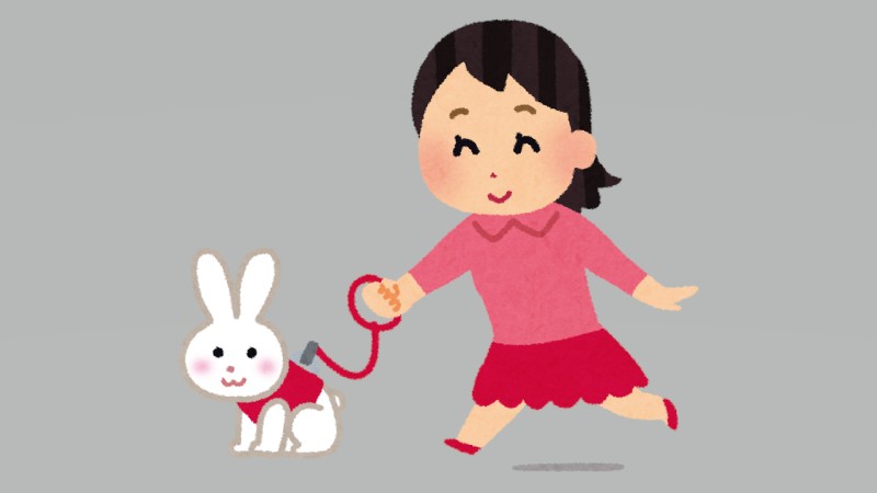 なぜ学校からウサギが消えた？ 動物飼育が…