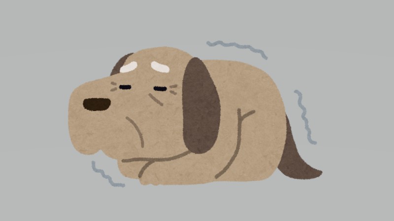 シニア犬猫の老化サインランキング　1位は…