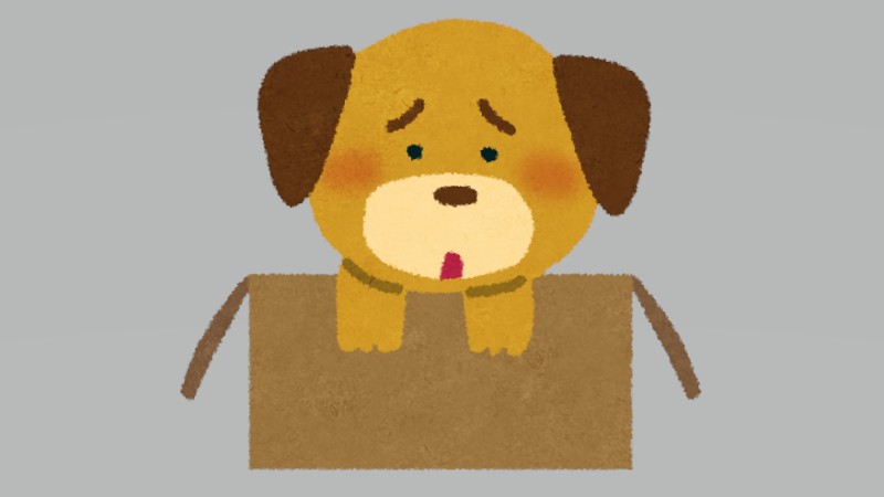 英国が打ち出した動物保護の本気策【海外】…