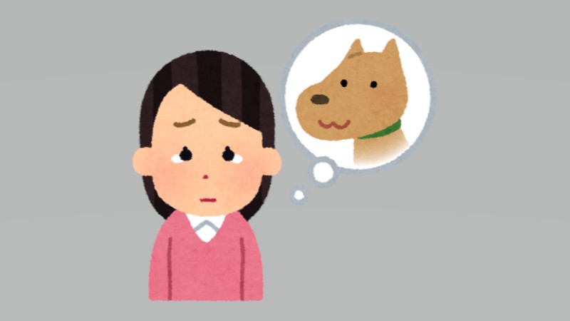 無償譲渡の落とし穴　子犬急死トラブルの実…