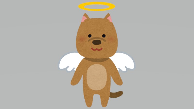 「もっと一緒に…」犬との別れを考える飼い…