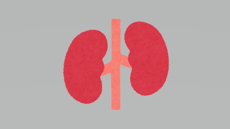 犬猫の腎臓病研究、査読誌に掲載　最新知見…