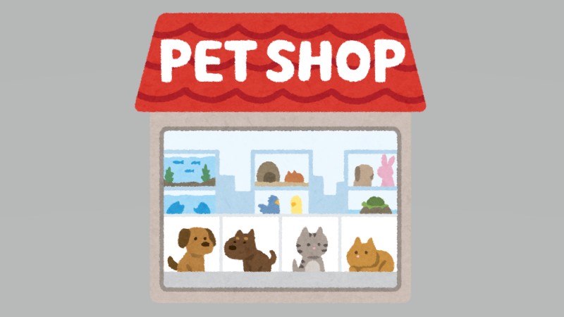 獣医9割が警鐘　優良ブリーダー見極めは困…