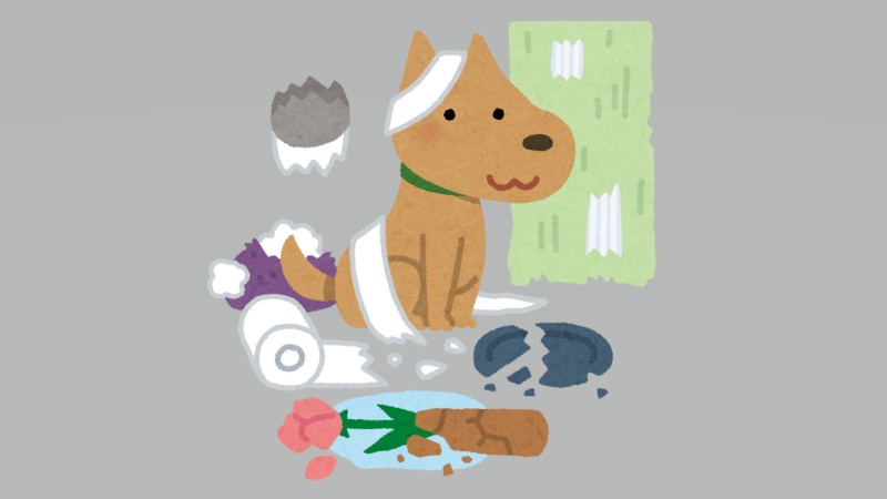 スポーツ大会に犬乱入 相次ぐトラブル…