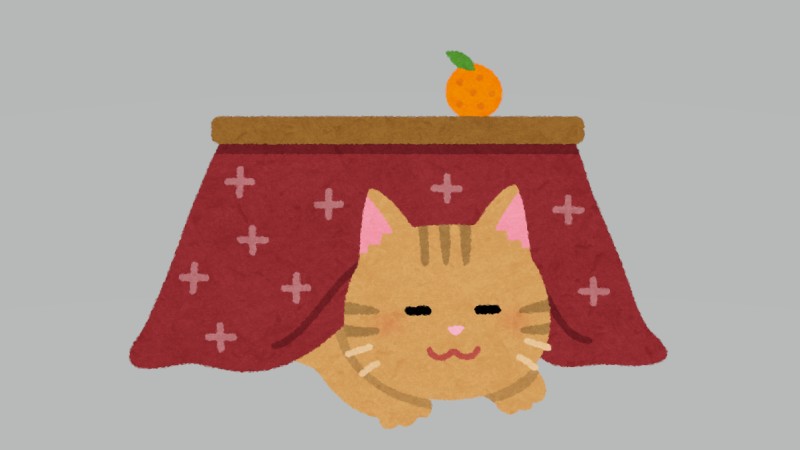 今日は2月22日！猫の日です！！…