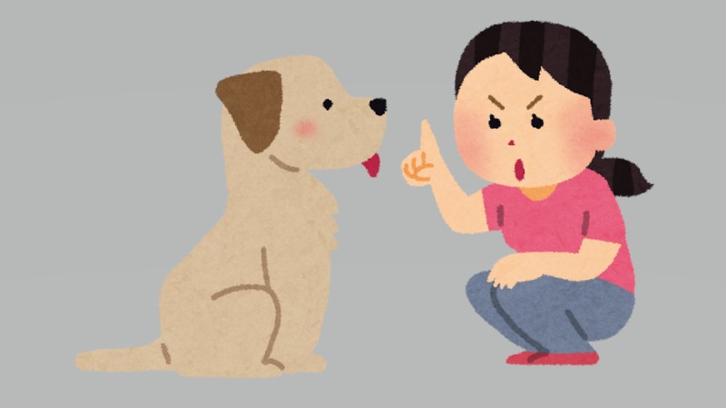 従順って…トレーニングや学習の積み重ね…