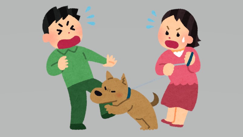 飼犬が突然他の人に襲い掛かったら……