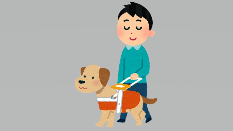 現在実働している盲導犬は24頭…