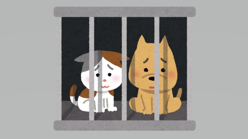 岐阜市｜犬と猫の殺処分 昨年度初めてゼロ…