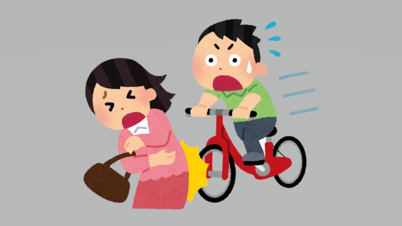 犬の脱走で5433万円の衝撃…