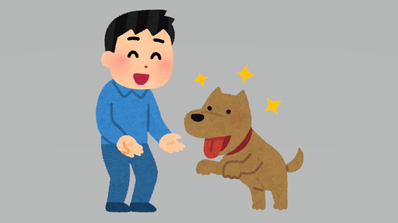 保護犬猫の譲渡会レポ｜松山市…